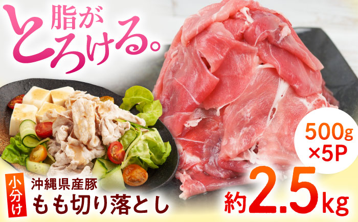沖縄県産豚肉 もも切り落とし 約2.5kg (500g×5P) 豚肉 もも肉 冷凍 小分け 冷凍 国産 沖縄市 / 宮城ふぁーむ [BCAJ013]