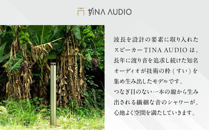 知名オーディオ TINA AUDIO 商品券 (10000円分) 商品券 券 商品 チケット ギフト 沖縄市 / 有限会社知名御多出横 [BCAB005]