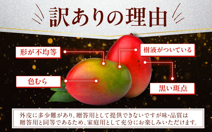 【2026年発送】【訳あり】仲村農園の完熟アップルマンゴー 1kg マンゴー 沖縄 果物 フルーツ ギフト 沖縄市 / 仲村農園 [BCCU004]