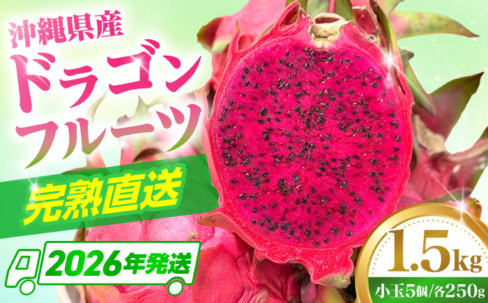 【2026年発送 先行受付】 【小玉】 完熟ドラゴンフルーツ 1.5kg (5玉) 果物 フルーツ スーパーフード 産地直送 無農薬 沖縄市 / タカエスフルーツ＆ベジタブル [BCBH005]