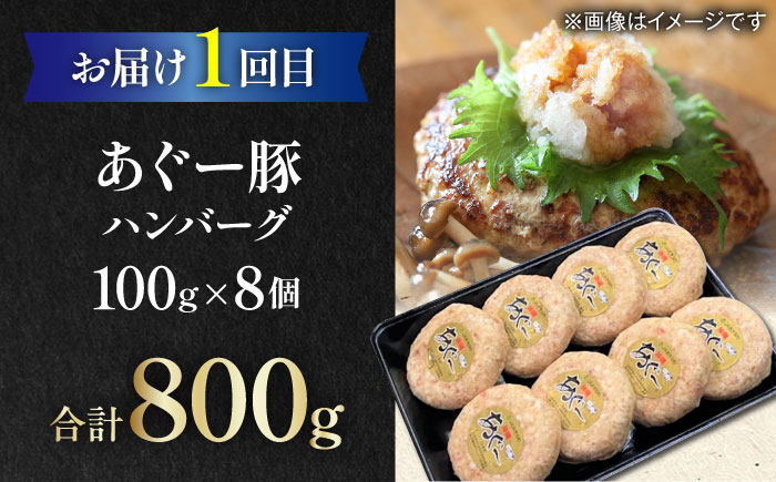 【全6回定期便】家族で満喫！沖縄のお肉贅沢セット【沖縄市】ハンバーグ あぐー 石垣牛 ステーキ 焼肉 冷凍 ギフト お取り寄せ 沖縄市 / お肉屋本店 / 豚々茶舗 / TESIO / 肉のサブロー [BCZZ034]