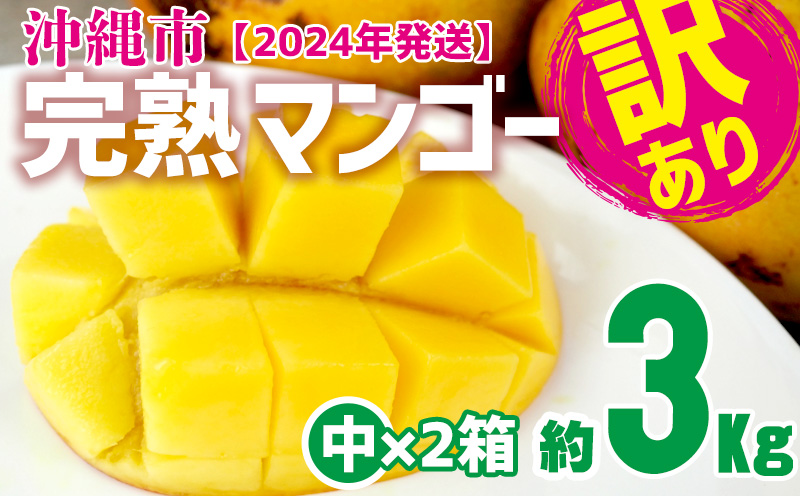 訳あり品【2024年発送】沖縄市　完熟マンゴー（中×2箱）約3kg