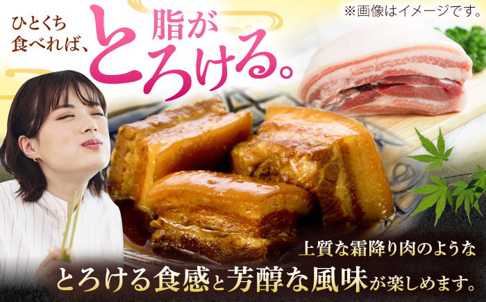 沖縄県産豚肉 豚バラブロック 約1.8kg (900g×2P) 豚肉 豚バラ バラ肉 ブロック ブロック肉 小分け 冷凍 国産 沖縄市 / 宮城ふぁーむ [BCAJ007]