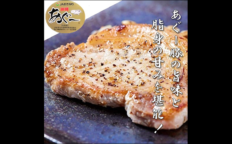 お肉屋本店　沖縄県産あぐー豚ハンバーグ・ステーキセット900g【 豚肉 肉 琉球在来豚 あぐー豚 手作り 手ごね 特製 こだわり ロース 肩ロース 焼肉 BBQ 肉汁 各2個 150g 贈答用 贈り物 ギフト お土産 化粧箱 冷凍 沖縄 沖縄県産 】