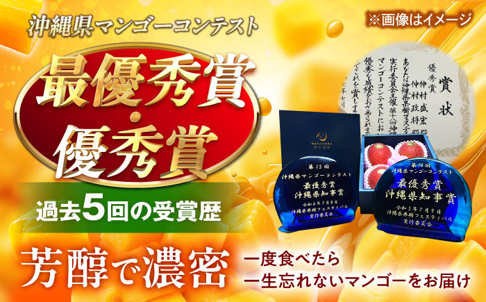 【全2回】太陽の恵み マンゴーご褒美便 (総計3kg) マンゴー 2026 沖縄 果物 フルーツ ギフト 沖縄市 / 仲村農園 [BCZZ052]