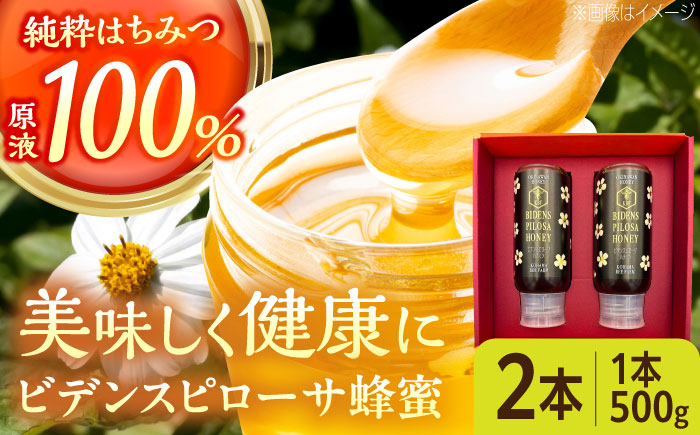 コハマのハチミツ ビデンスピローサ蜂蜜 500g×2本 蜂蜜 はちみつ ハチミツ 国産 ギフト  沖縄市 / 農業生産法人株式会社小浜養蜂場 [BCAQ003]