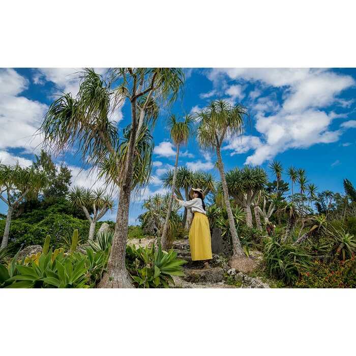 東南植物楽園 入園券 ＆ ランチ券 (大人2名) 入場券 チケット 植物園 テーマパーク 観光 沖縄市 / 株式会社東南植物楽園 [BCBY005]