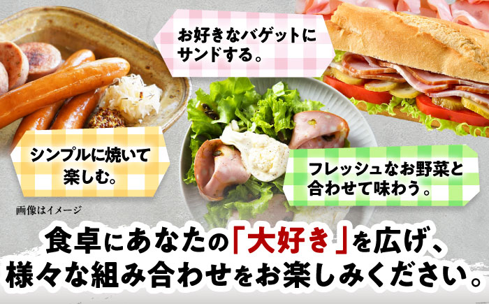 TESIOの自家製ハム＆ソーセージ 『手始めTESIOセット』 豚肉 ハム ソーセージ 小分け 真空パック 沖縄市 / TESIO [BCAD001]