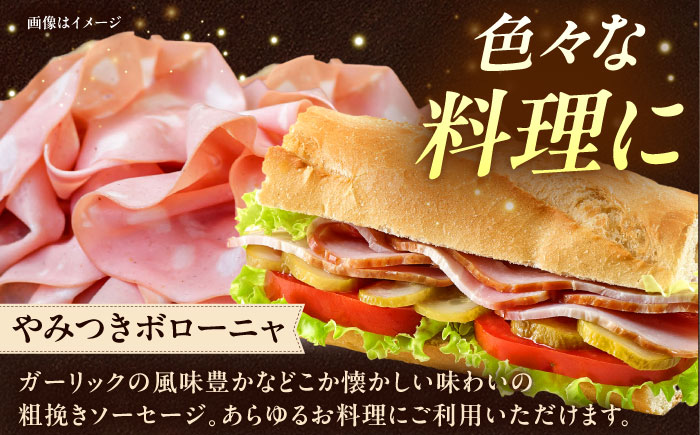 【全3回定期便】TESIOの自家製ハム＆ソーセージ 『ほんのお気持ちBOX』 豚肉 ハム ソーセージ 小分け 真空パック 沖縄市 / TESIO [BCAD010]