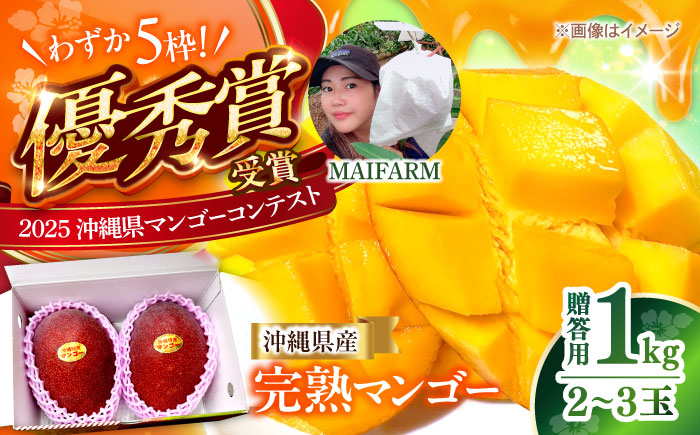 【優秀賞受賞】沖縄県産 完熟マンゴー 贈答用 1kg (2〜3玉) マンゴー 沖縄 果物 フルーツ ギフト 沖縄市 / MAIFARM [BCAN001]