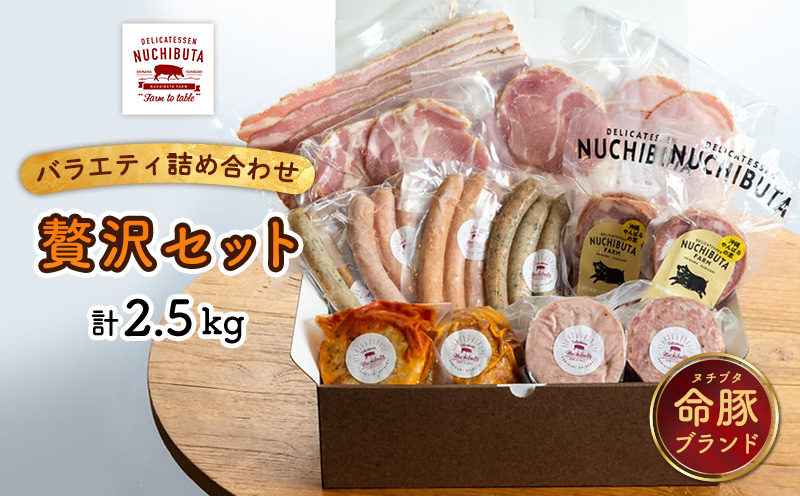 デリカテッセンヌチブタ　バラエティ詰め合わせ【贅沢セット】計2.5kg NUCHIBUTA 豚肉 加工品 ソーセージ ハンバーグ ベーコン ハム ポーク 詰め合わせ バラエティ おつまみ おかず 肉 グルメ 手作り アウトドア バーベキュー キャンプ飯 沖縄県産 沖縄市