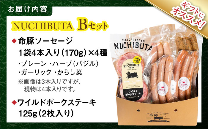 『NUCHIBUTA Bセット』 豚肉 ポークステーキ ソーセージ 詰め合わせ お取り寄せ 国産 ギフト 冷凍 沖縄市 / DELICATESSEN NUCHIBUTA [BCAR004]