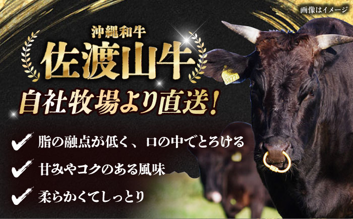 【全6回定期便】【厳選！おすすめ部位】沖縄和牛 佐渡山牛 ステーキ肉 500g ステーキ 牛肉 和牛 焼肉 赤身 沖縄市 / 肉のサブロー [BCBC006]