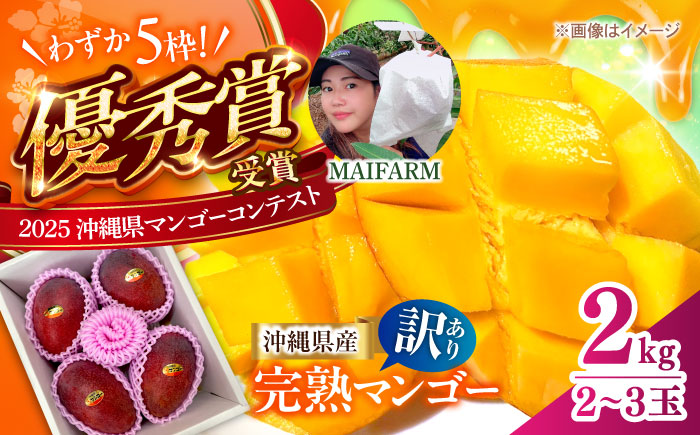 【優秀賞受賞】沖縄県産 完熟マンゴー 訳アリ 2kg (3〜5玉) マンゴー 沖縄 果物 フルーツ ギフト 沖縄市 / MAIFARM [BCAN004]