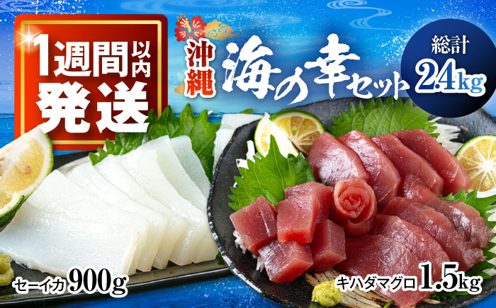海の幸セット (冷凍キハダマグロ1.5kg / セーイカ0.9kg) 沖縄市 / 沖縄市漁業協同組合 パヤオ直売店 [BCDZ005]