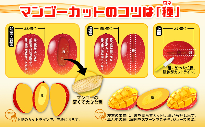 ＜2024年発送＞沖縄県産　完熟マンゴー　1kg　優品
