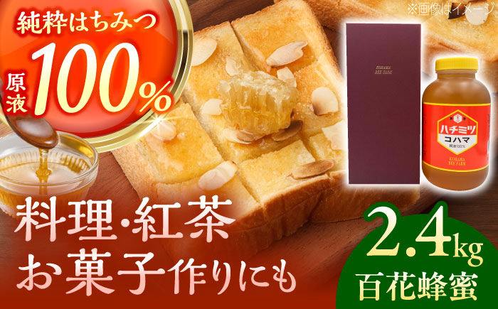 コハマのハチミツ 百花蜂蜜 2.4kg×1本 蜂蜜 はちみつ ハチミツ 国産 ギフト  沖縄市 / 農業生産法人株式会社小浜養蜂場 [BCAQ006]
