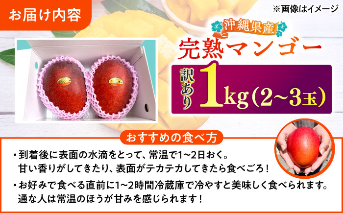 【優秀賞受賞】沖縄県産 完熟マンゴー 訳アリ 1kg (2〜3玉) マンゴー 沖縄 果物 フルーツ ギフト 沖縄市 / MAIFARM [BCAN003]
