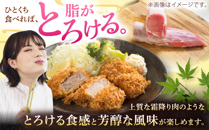 沖縄県産豚肉 ヒレ肉 3本入り (計1.5〜1.8kg) 豚 豚肉 ひれ肉 真空パック 小分け 冷凍 国産 沖縄市 / 宮城ふぁーむ [BCAJ012]