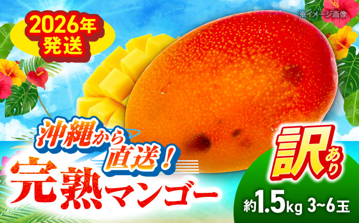 【先行予約 2026年発送 予約受付】訳あり 完熟マンゴー 約1.5kg (3〜6玉入) マンゴー 沖縄 果物 フルーツ ギフト 沖縄市 / ちゃんぷる〜市場 [BCAA001]