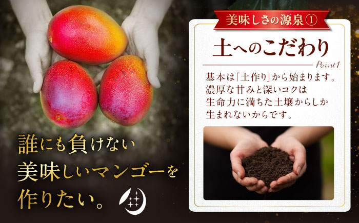 【2026年発送】【贈答用】仲村農園の完熟アップルマンゴー2kg マンゴー 沖縄 果物 フルーツ ギフト 沖縄市 / 仲村農園 [BCCU001]