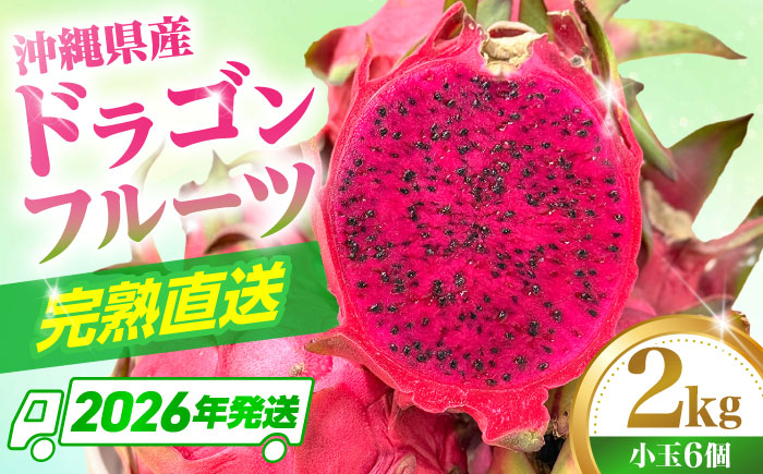 【2026年発送】 【小玉】 完熟ドラゴンフルーツ 2kg (6玉) 果物 フルーツ スーパーフード 産地直送 沖縄市 / タカエスフルーツ＆ベジタブル [BCBH006]