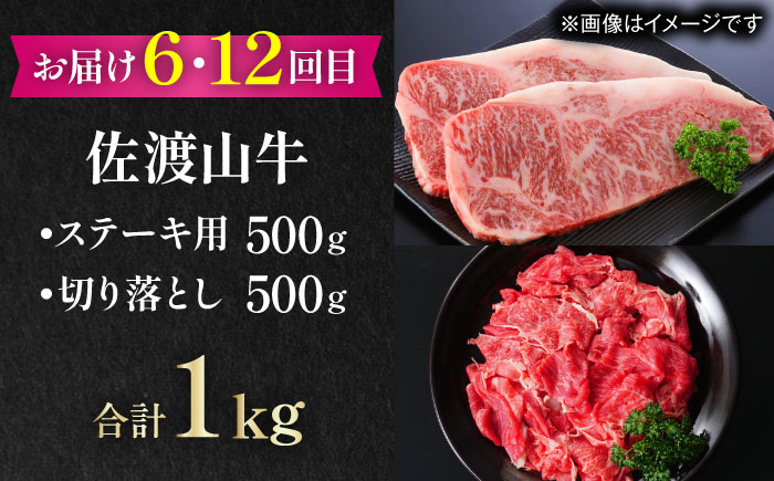 【全12回定期便】家族で満喫！沖縄のお肉贅沢セット【沖縄市】ハンバーグ あぐー 石垣牛 ステーキ 焼肉 冷凍 ギフト お取り寄せ 沖縄市 / お肉屋本店 / 豚々茶舗 / TESIO / 肉のサブロー [BCZZ035]