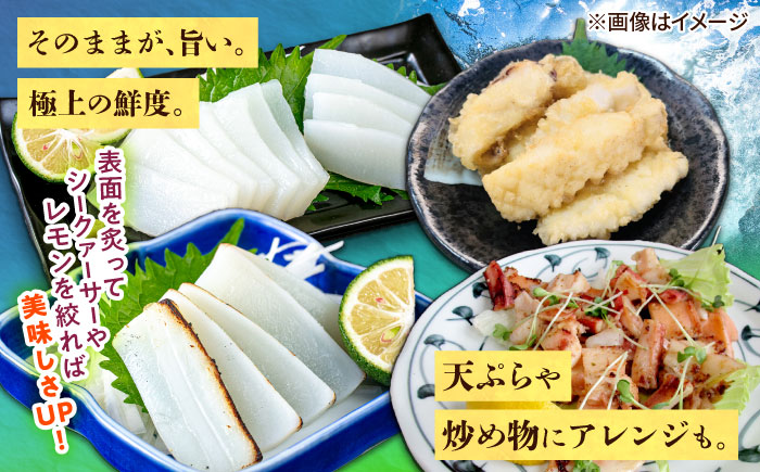 冷凍セーイカ (そでいか) 900g (300g ×3パック) 沖縄市 / 沖縄市漁業協同組合 パヤオ直売店 [BCDZ008]