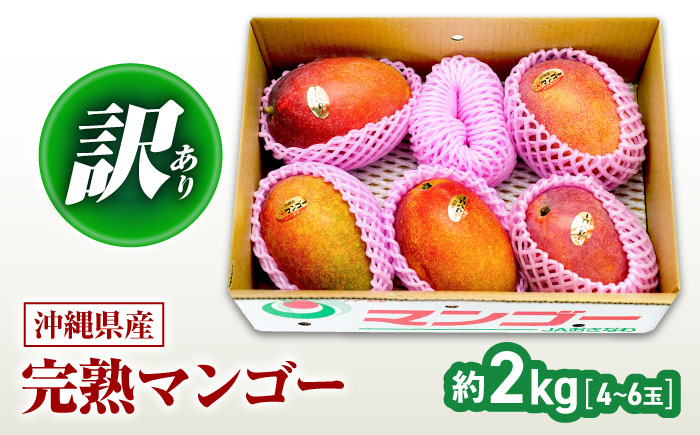 【2026年発送】 訳あり 完熟マンゴー 約2kg (4〜6玉入) マンゴー 沖縄 果物 フルーツ ギフト 沖縄市 / ちゃんぷる〜市場 [BCAA002]