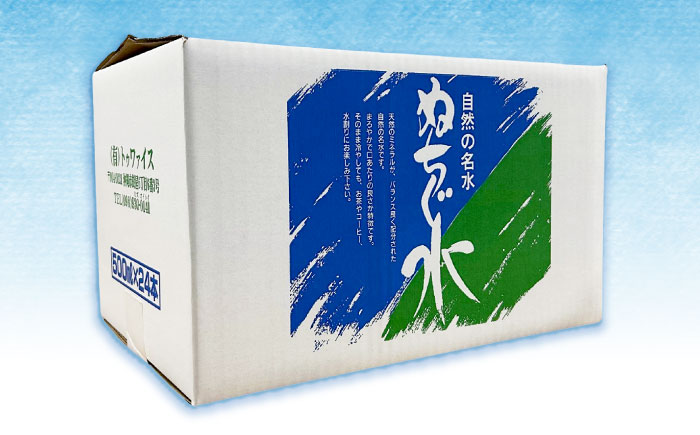 自然の名水 ぬちぐ水 500ml 24本 水 飲料水 ミネラルウォーター 防災 キャンプ 備蓄 / トゥワァイス [BCEJ001]