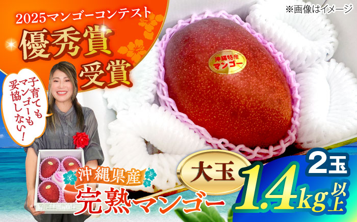 【最優秀賞受賞】沖縄県産 完熟マンゴー 大玉 2個入り マンゴー 沖縄 果物 フルーツ ギフト 沖縄市 / MAIFARM [BCAN006]