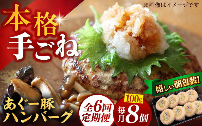 【全6回定期便】沖縄県産あぐー豚ハンバーグセット 800g (100g×8個) 豚 ハンバーグ 冷凍 ギフト お取り寄せ 沖縄市 / お肉屋本店 [BCAZ010]