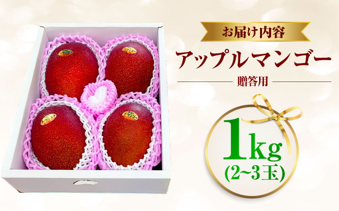 【2026年発送】【贈答用】仲村農園の完熟アップルマンゴー1kg マンゴー 沖縄 果物 フルーツ ギフト 沖縄市 / 仲村農園 [BCCU002]