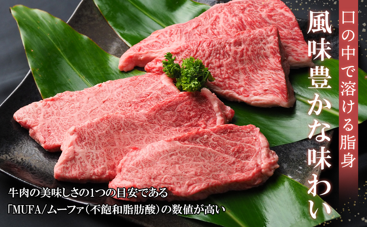 沖縄和牛　佐渡山牛ステーキ用500g（厳選！おすすめ部位）【 牛肉 肉 和牛 県産和牛 佐渡山牛 こだわり 厳選 オススメ 焼肉 BBQ 肉汁 贈答用 贈り物 ギフト お土産 冷凍 沖縄 沖縄県産 】