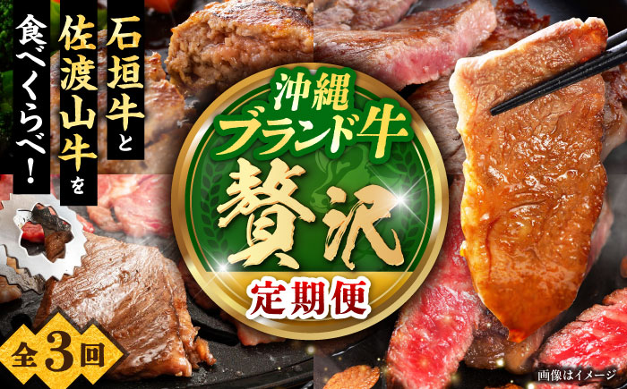 【全3回定期便】沖縄ブランド牛を堪能！贅沢お肉定期便【沖縄市】牛肉 和牛 サーロインステーキ 焼肉 赤身 沖縄市 / 肉のサブロー / お肉屋本店 [BCZZ027]