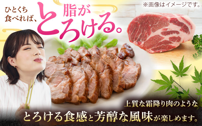 沖縄県産豚肉 肩ロースブロック 約1.8kg (900g×2P) 豚肉 肩ロース ブロック ブロック肉 小分け 冷凍 国産 沖縄市 / 宮城ふぁーむ [BCAJ006]