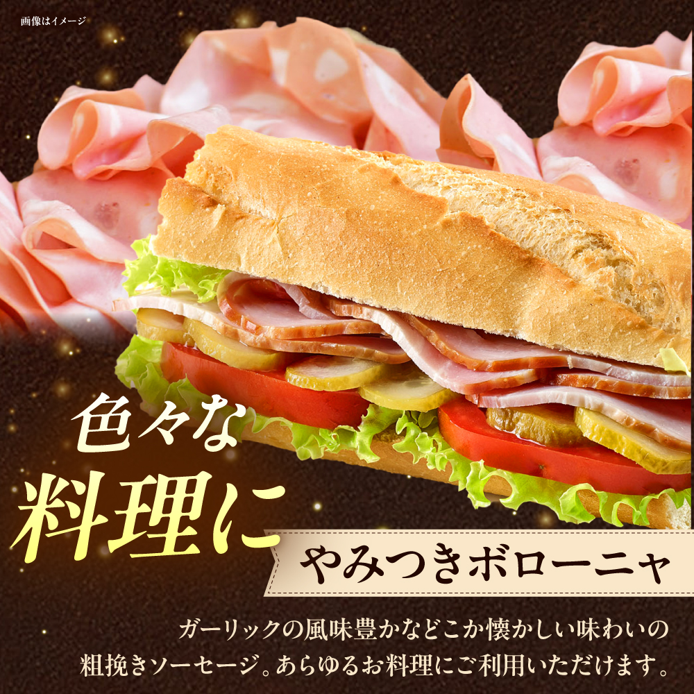 【全12回定期便】TESIOの自家製ハム＆ソーセージ 『手始めTESIOセット』 豚肉 ハム ソーセージ 小分け 真空パック 沖縄市 / TESIO [BCAD009]