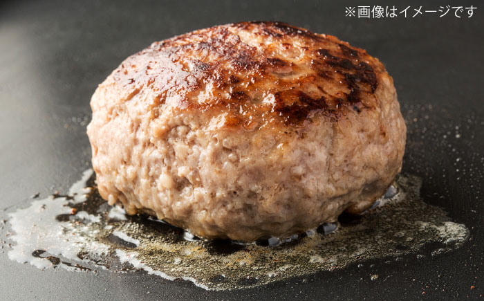 【全6回定期便】沖縄県産あぐー豚ハンバーグセット 800g (100g×8個) 豚 ハンバーグ 冷凍 ギフト お取り寄せ 沖縄市 / お肉屋本店 [BCAZ010]