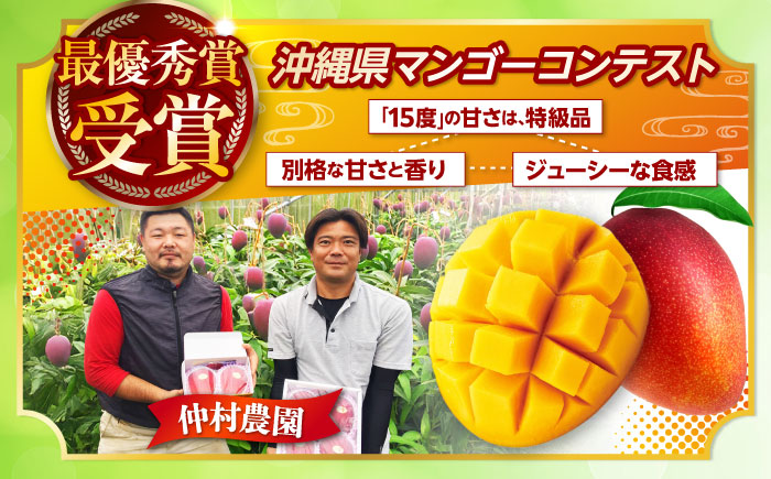 【期間限定】 【全2回】 沖縄市特産 和牛ステーキ & マンゴー アップルマンゴー 沖縄 牛肉 希少部位 ステーキ 沖縄市 / 仲村農園 / 肉のサブロー [BCZZ049]