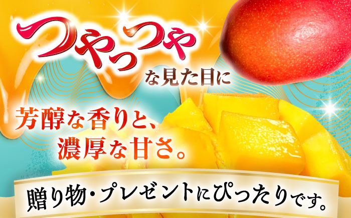 【優秀賞受賞】沖縄県産 完熟マンゴー 贈答用 2kg (3〜5玉) マンゴー 沖縄 果物 フルーツ ギフト 沖縄市 / MAIFARM [BCAN002]
