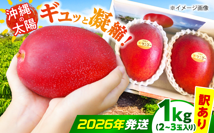 【2026年7月上旬より順次発送】【訳あり】沖縄市産マンゴー「太陽のめぐみ」 1kg(2～3玉) 南国フルーツ 産地直送 新鮮 沖縄県産 ギフト 沖縄市 / 比嘉マンゴー園 [BCEW003]