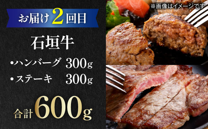 【全6回定期便】家族で満喫！沖縄のお肉贅沢セット【沖縄市】ハンバーグ あぐー 石垣牛 ステーキ 焼肉 冷凍 ギフト お取り寄せ 沖縄市 / お肉屋本店 / 豚々茶舗 / TESIO / 肉のサブロー [BCZZ034]