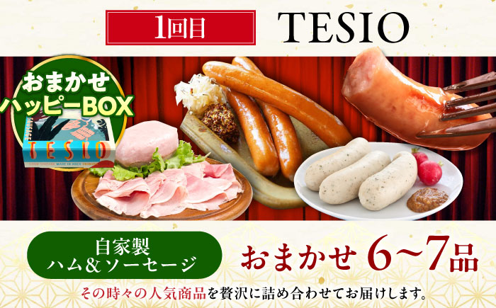 【全6回定期便】ビールと相性抜群！沖縄のおつまみセット【沖縄市】TESIO だるまそば 豚々茶舗 DELICATESSEN NUCHIBUTA みやんち STUDIO&COFFEE お肉屋本店 [BCZZ022]