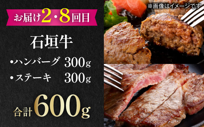 【全12回定期便】家族で満喫！沖縄のお肉贅沢セット【沖縄市】ハンバーグ あぐー 石垣牛 ステーキ 焼肉 冷凍 ギフト お取り寄せ 沖縄市 / お肉屋本店 / 豚々茶舗 / TESIO / 肉のサブロー [BCZZ035]