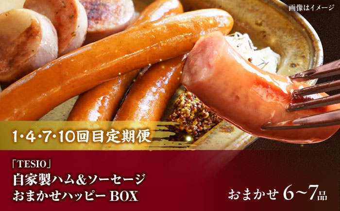 【全12回定期便】沖縄の絶品肉加工品セット【沖縄市】豚肉 ハム ソーセージ 豚まん ぶたまん ちまき 焼売 シュウマイ ハンバーグ 沖縄市 / TESIO / 豚々茶舗 / お肉屋本店 [BCZZ032]