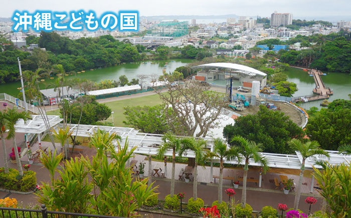 沖縄県沖縄市 日本旅行 地域限定旅行クーポン 3万円分 旅行券 チケット 宿泊券 プレゼント ギフト 30000円 沖縄市 / 株式会社日本旅行 [BCAC002]