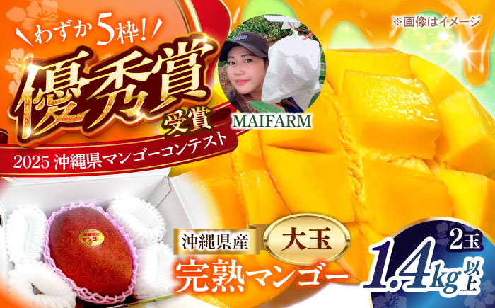 【最優秀賞受賞】沖縄県産 完熟マンゴー 大玉 2個入り マンゴー 沖縄 果物 フルーツ ギフト 沖縄市 / MAIFARM [BCAN006]