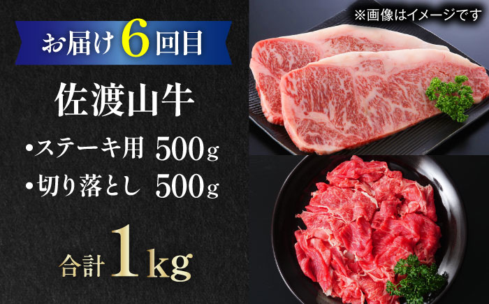 【全6回定期便】家族で満喫！沖縄のお肉贅沢セット【沖縄市】ハンバーグ あぐー 石垣牛 ステーキ 焼肉 冷凍 ギフト お取り寄せ 沖縄市 / お肉屋本店 / 豚々茶舗 / TESIO / 肉のサブロー [BCZZ034]