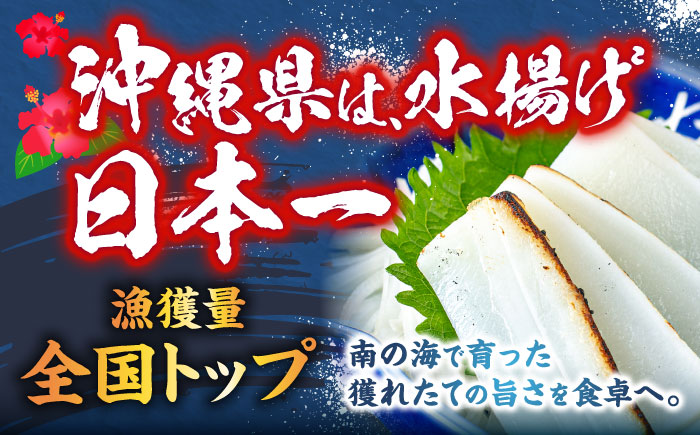 冷凍セーイカ (そでいか) 900g (300g ×3パック) 沖縄市 / 沖縄市漁業協同組合 パヤオ直売店 [BCDZ008]