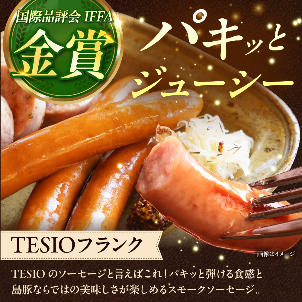 【全12回定期便】TESIOの自家製ハム＆ソーセージ 『手始めTESIOセット』 豚肉 ハム ソーセージ 小分け 真空パック 沖縄市 / TESIO [BCAD009]